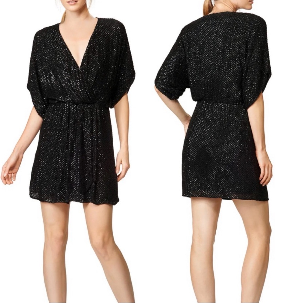 PARKER Black Label Sequin Beaded Dress Size 2